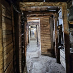 aktuality/galerie/1777468474_u-img-5