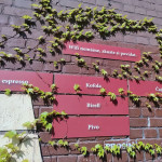 aktuality/galerie/1777468487_u-img-8