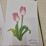 aktuality/galerie/26-tulipanovy-mesic-1