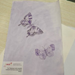 aktuality/galerie/26-tulipanovy-mesic-3