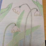 aktuality/galerie/26-tulipanovy-mesic-4