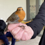 aktuality/galerie/cervenka