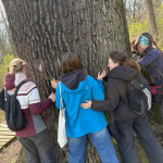 aktuality/galerie/objimame-stromy