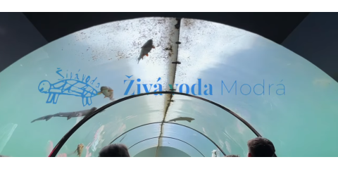 Školní výlet do Živé vody v Modré