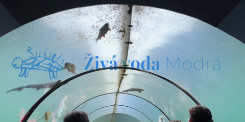 Školní výlet do Živé vody v Modré