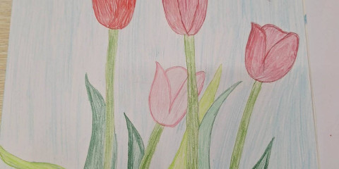 Tulipánový měsíc 2026